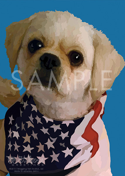 Blue 2024 lhasa apso