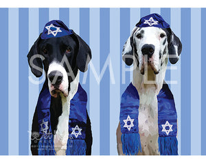 Great Danes Mantle and Harlequin on blue and white Hanukkah Greeting Card (Abbott and Costello)