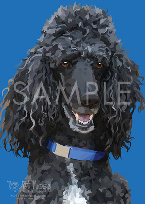 Poodle Black 