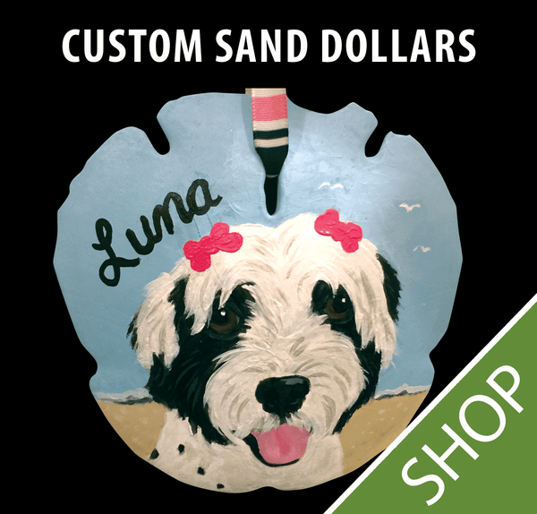 Custom Painted Sand Dollar