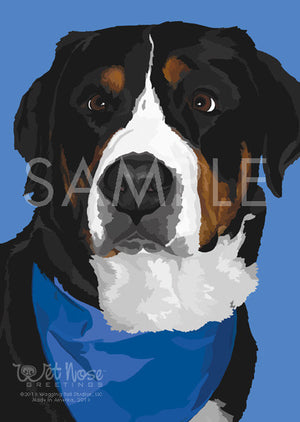 Greater Swiss Mountain Dog