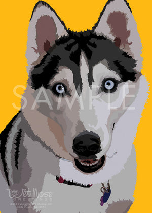 Siberian Husky