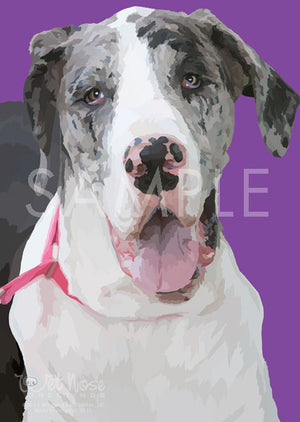 Great Dane