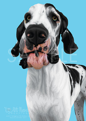 Great Dane on Blue Greeting Card (Norman)