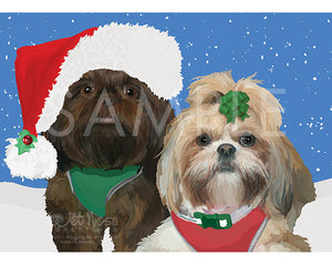 Yorkie Poo
