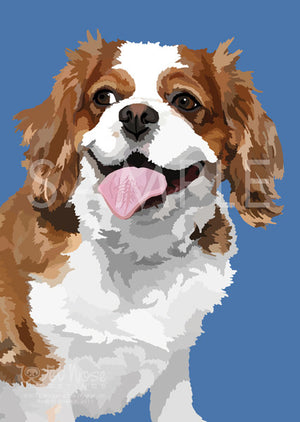 Cavalier King Charles Spaniel