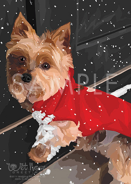 Yorkie Poo